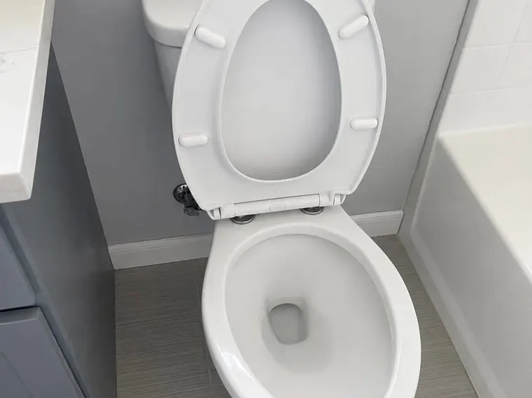 Toilet after cleaning