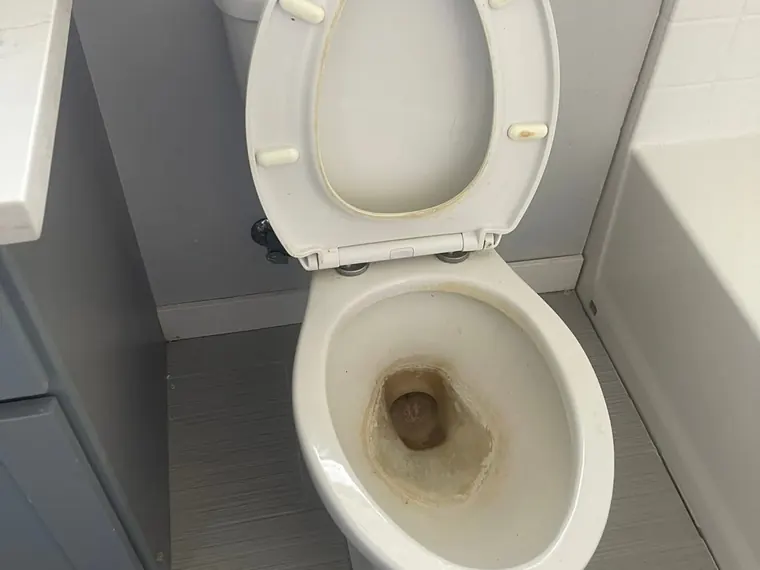 Toilet before cleaning